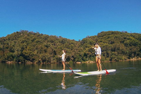 Ku-ring-gai Chase National Park Stand Up Paddleboard Tour - Accommodation Rockhampton 2
