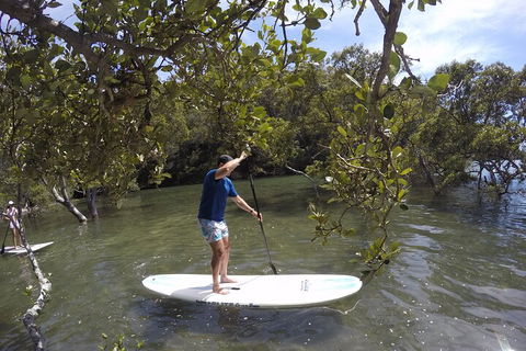 Ku-ring-gai Chase National Park Stand Up Paddleboard Tour - Accommodation Rockhampton 3