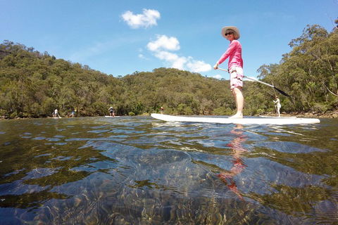 Ku-ring-gai Chase National Park Stand Up Paddleboard Tour - Accommodation Rockhampton 4