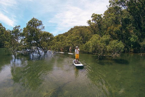 Ku-ring-gai Chase National Park Stand Up Paddleboard Tour - Accommodation Rockhampton 5