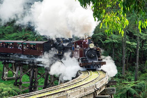 Puffing Billy And Healesville Sanctuary Scenic Tour - Accommodation Rockhampton 1