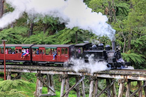 Puffing Billy And Healesville Sanctuary Scenic Tour - Accommodation Rockhampton 2