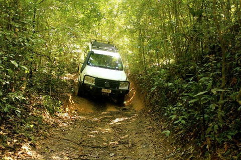 Barron Gorge And Kuranda National Park Half Day Rainforest And Waterfall 4WD Tour From Cairns - Accommodation Rockhampton 2