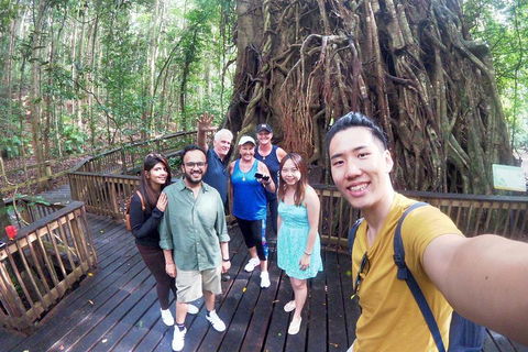 Barron Gorge And Kuranda National Park Half Day Rainforest And Waterfall 4WD Tour From Cairns - Accommodation Rockhampton 5