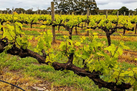 Margaret River Indulge And Discover Day Tour - Accommodation Rockhampton 5