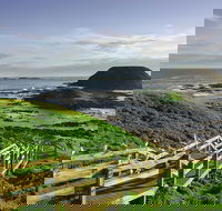 Full-Day Private Australian Wildlife Tour of Phillip Island - Accommodation Rockhampton