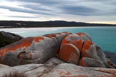 3-Day Bay Of Fires Photography Workshop From Hobart - Accommodation Rockhampton 0