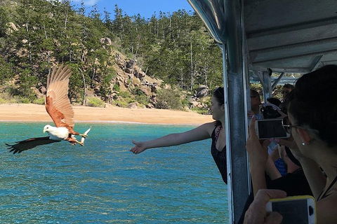Aquascene Magnetic Island Discovery Tour - Accommodation Rockhampton 2