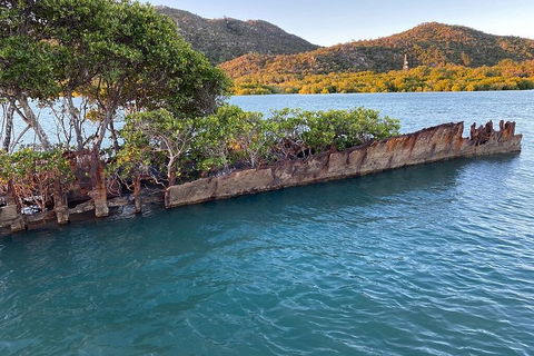 Aquascene Magnetic Island Discovery Tour - Accommodation Rockhampton 3