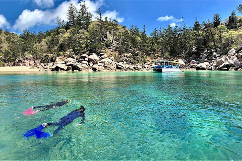 Aquascene Magnetic Island Discovery Tour - Accommodation Rockhampton 4