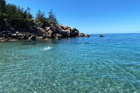 Aquascene Magnetic Island Discovery Tour - Accommodation Rockhampton 5