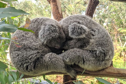 Central Coast Explorer With 'Personalised Sydney Tours' - Accommodation Rockhampton 5