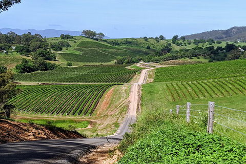 The Complete Hunter Valley Wine Tour Of Pokolbin, Mt View, Lovedale And Rothbury - Accommodation Rockhampton 0