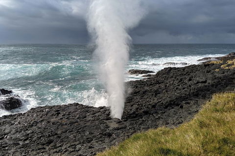 Erupting Blowholes And Ancient Rainforests With 'Personalised Sydney Tours' - Accommodation Rockhampton 1