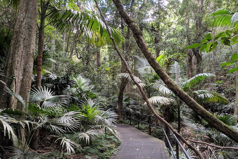 Erupting Blowholes And Ancient Rainforests With 'Personalised Sydney Tours' - Accommodation Rockhampton 2