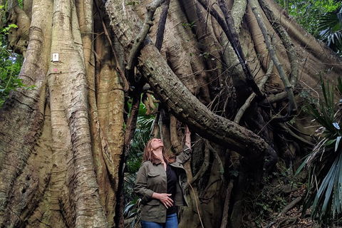 Erupting Blowholes And Ancient Rainforests With 'Personalised Sydney Tours' - Accommodation Rockhampton 4