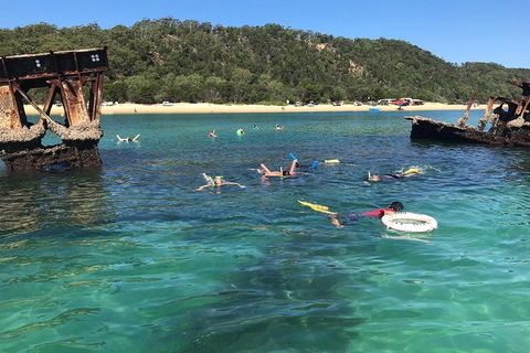 All Inclusive Dolphin And Tangalooma Wrecks Cruise - Accommodation Rockhampton 0