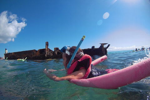All Inclusive Dolphin And Tangalooma Wrecks Cruise - Accommodation Rockhampton 2