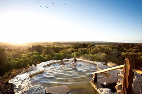 Peninsula Hot Springs & Wine Tasting - Day Tour - Accommodation Rockhampton 0