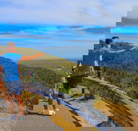 Private Tour Mornington Peninsula Family Maze and Fun - Accommodation Rockhampton