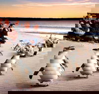 Private Tour Penguin Parade Phillip Island Tour. - Accommodation Rockhampton