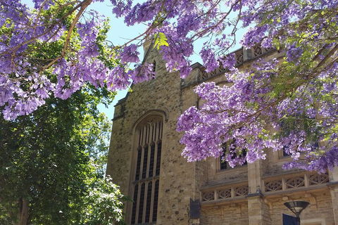 Cultural Caper Adelaide Walking Tour - Accommodation Rockhampton 1
