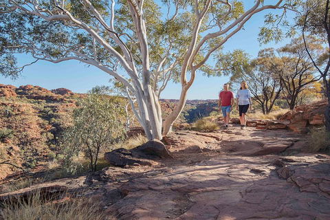 3-Day Tour From Uluru (Ayers Rock) To Alice Springs Via Kings Canyon - Accommodation Rockhampton 1