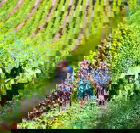 Tasmanian Wine Tour - Accommodation Rockhampton