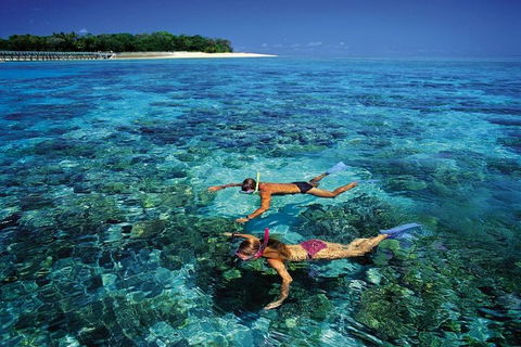 Green Island Day Trip From Cairns - Accommodation Rockhampton 5