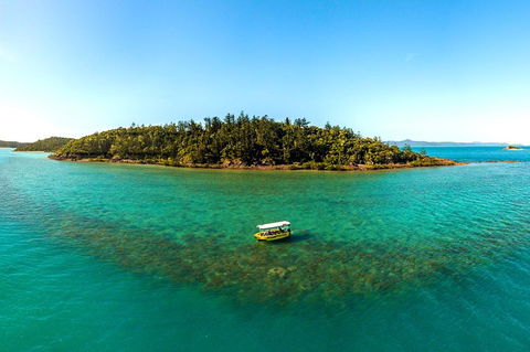 Airlie Beach Glass Bottom Boat Tour - Accommodation Rockhampton 3