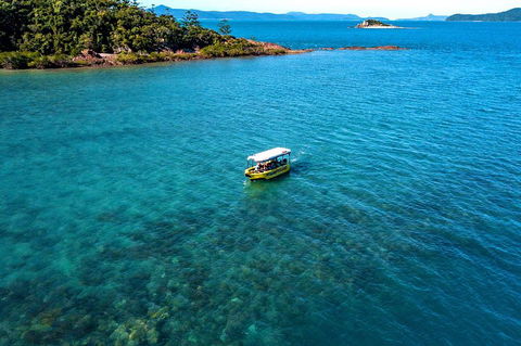 Airlie Beach Glass Bottom Boat Tour - Accommodation Rockhampton 4