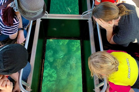 Airlie Beach Glass Bottom Boat Tour - Accommodation Rockhampton 5