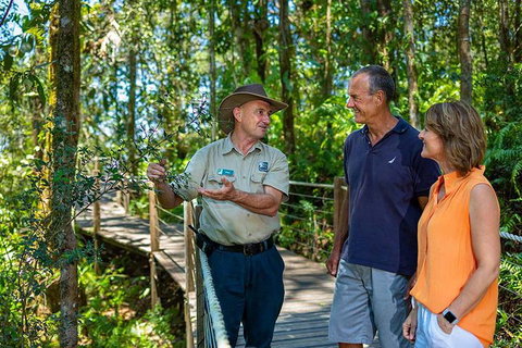 Kuranda Scenic Railway Day Trip From Cairns - Accommodation Rockhampton 1