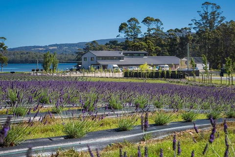 Private Hobart Discover South East Food And Scenic Tour - Accommodation Rockhampton 0