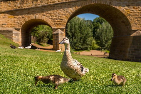Richmond Historic Afternoon Tour From Hobart - Accommodation Rockhampton 1