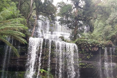 6-Day Hearty Tasmania Tour (Tasmania In A Circle) - Accommodation Rockhampton 0