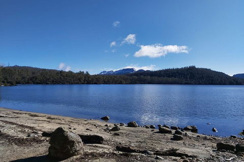 6-Day Hearty Tasmania Tour (Tasmania In A Circle) - Accommodation Rockhampton 1
