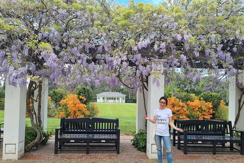 Women's History Walking Tour With Local Guide In Canberra - Accommodation Rockhampton 5