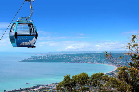 Peninsula Hot Springs Tour With Restaurant Lunch & Gondola Ride - Accommodation Rockhampton 1