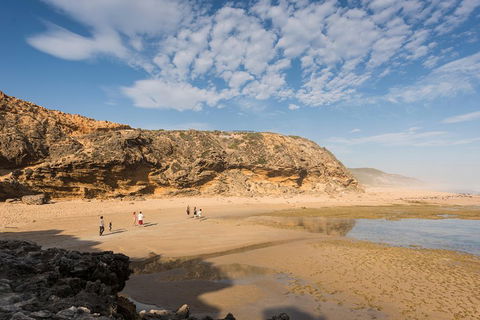 Mornington Peninsula Small Group Day Tour - Accommodation Rockhampton 5