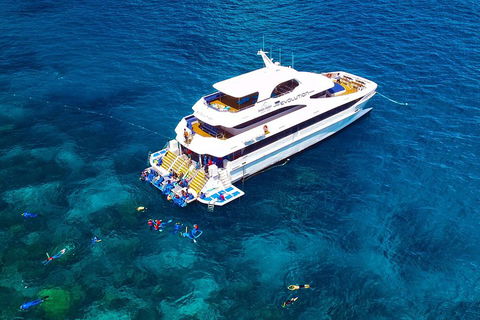 Great Barrier Reef Snorkeling And Diving Cruise From Cairns - Accommodation Rockhampton 5