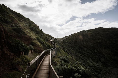 Small Group: Mornington Peninsula Hike And Hot Springs Day Tour From Melbourne - Accommodation Rockhampton 1