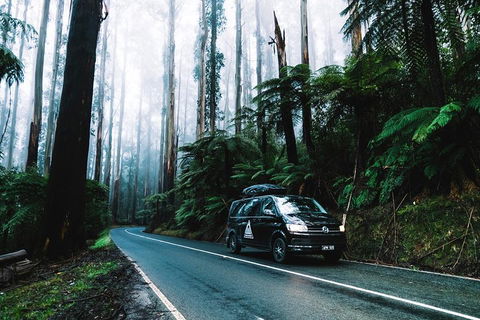 Small Group: Mornington Peninsula Hike And Hot Springs Day Tour From Melbourne - Accommodation Rockhampton 3