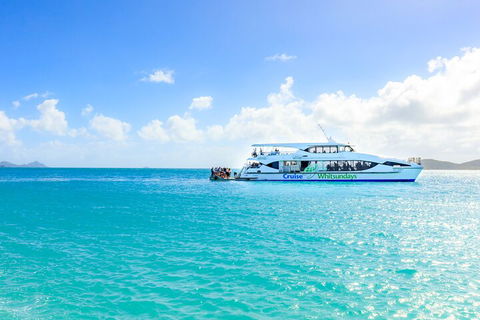 Whitehaven Beach And Daydream Island Cruise - Accommodation Rockhampton 2