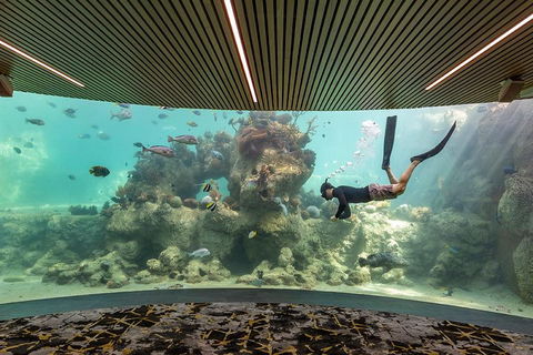 Whitehaven Beach And Daydream Island Cruise - Accommodation Rockhampton 4