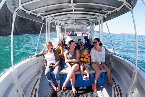 Seal Island Boat Tour From Victor Harbor - Accommodation Rockhampton 1