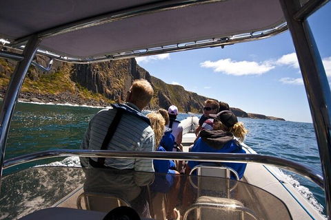Seal Island Boat Tour From Victor Harbor - Accommodation Rockhampton 2