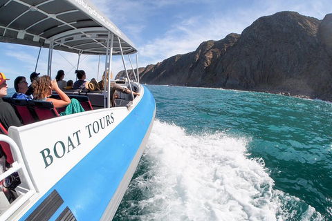 Southern Ocean Adventure From Victor Harbor - Accommodation Rockhampton 0