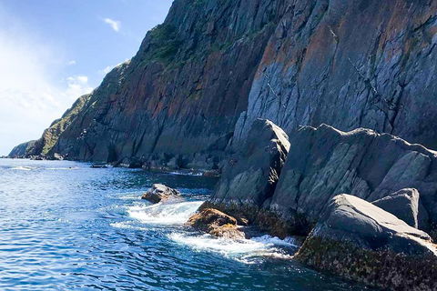 Southern Ocean Adventure From Victor Harbor - Accommodation Rockhampton 3