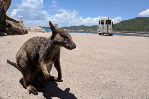 Magnetic Island Tour: Maggie Comprehensive - Accommodation Rockhampton 0